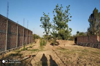 San jacinto, Poncitlán, ,Lote,En venta,San jacinto ,1008